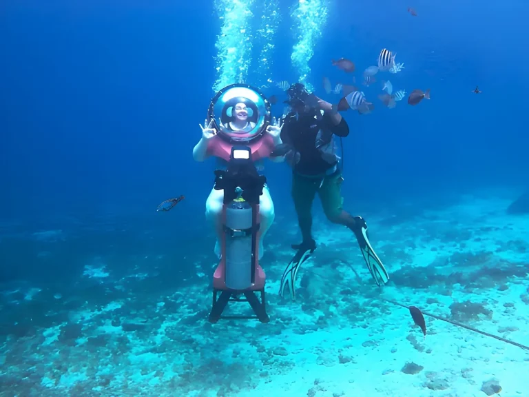 Mini Submarine Dive